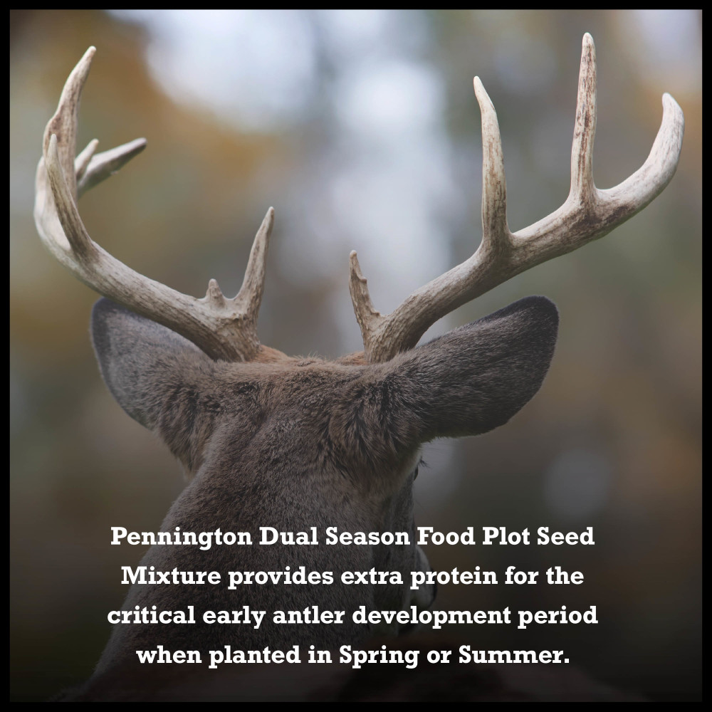 100538332-pennington-rackmaster-wildlife-dual-season-mix-10-lb-8