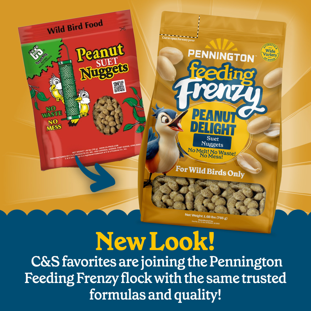 100551926-pennington-feeding-frenzy-peanut-suet-nuggets-27-ounce-2