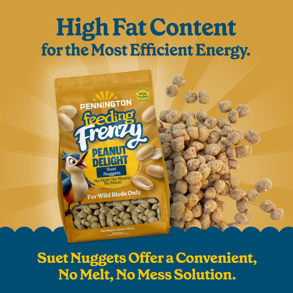 100551926-pennington-feeding-frenzy-peanut-suet-nuggets-27-ounce-3
