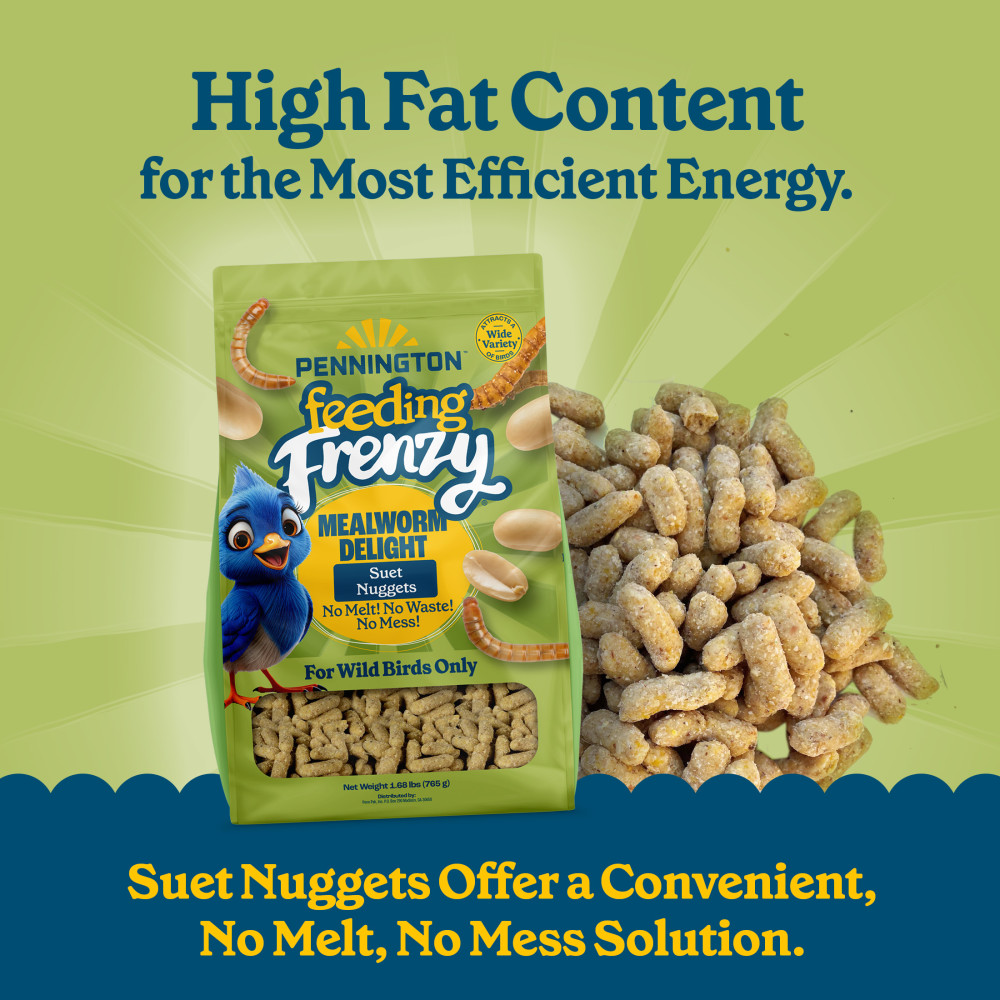 100551927-pennington-feeding-frenzy-mealworm-suet-nuggets-27-ounce-3
