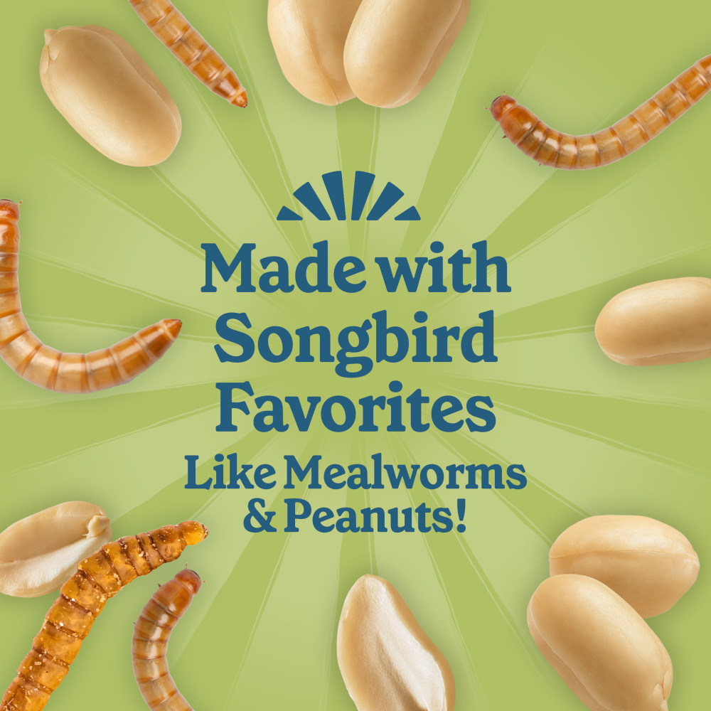 100551927-pennington-feeding-frenzy-mealworm-suet-nuggets-27-ounce-4