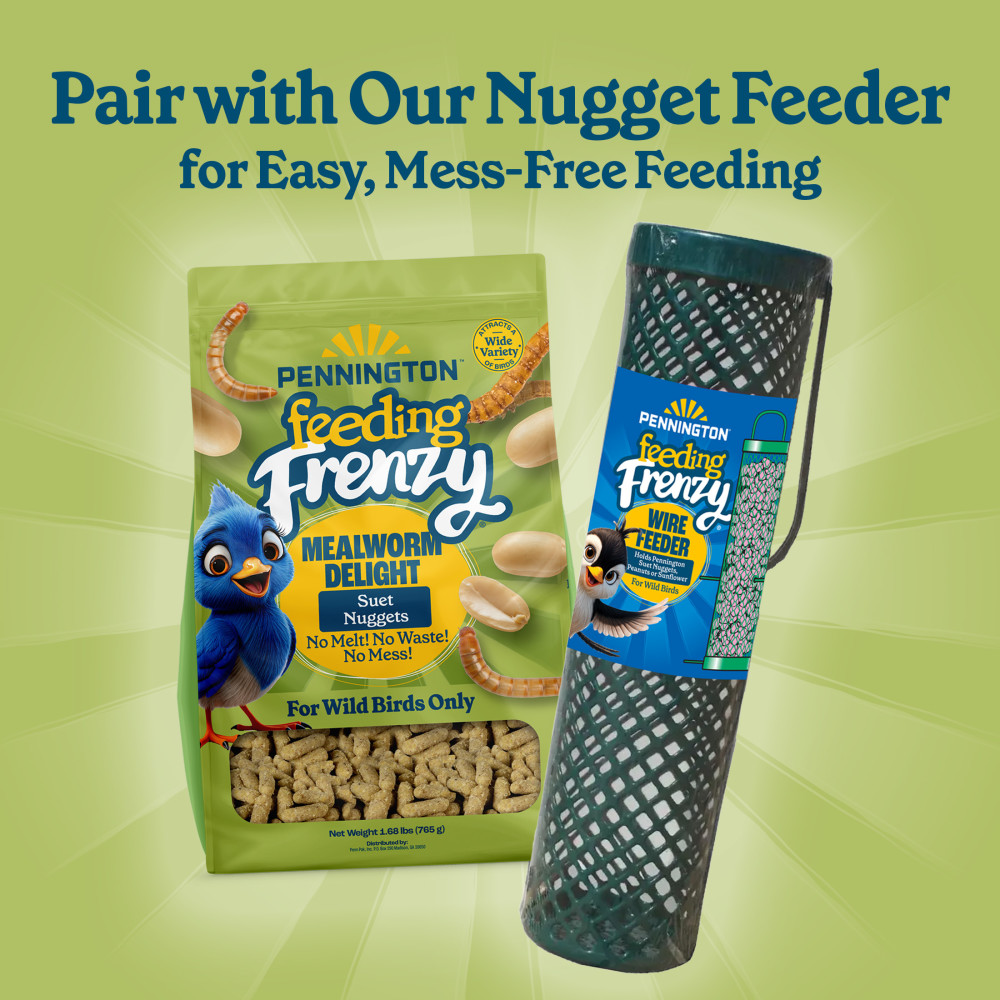 100551927-pennington-feeding-frenzy-mealworm-suet-nuggets-27-ounce-9