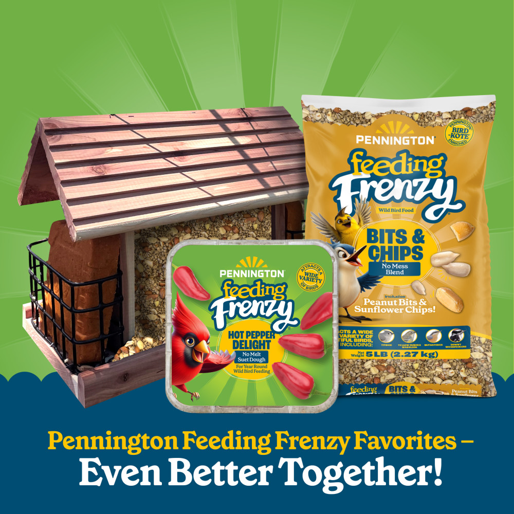 100551951-pennington-feeding-frenzy-hot-pepper-delight--1175-ounce-8