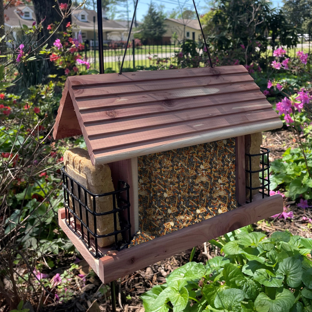 100551954-pennington-feeding-frenzy-orange-delight-12_1175oz-1175-ounces-9