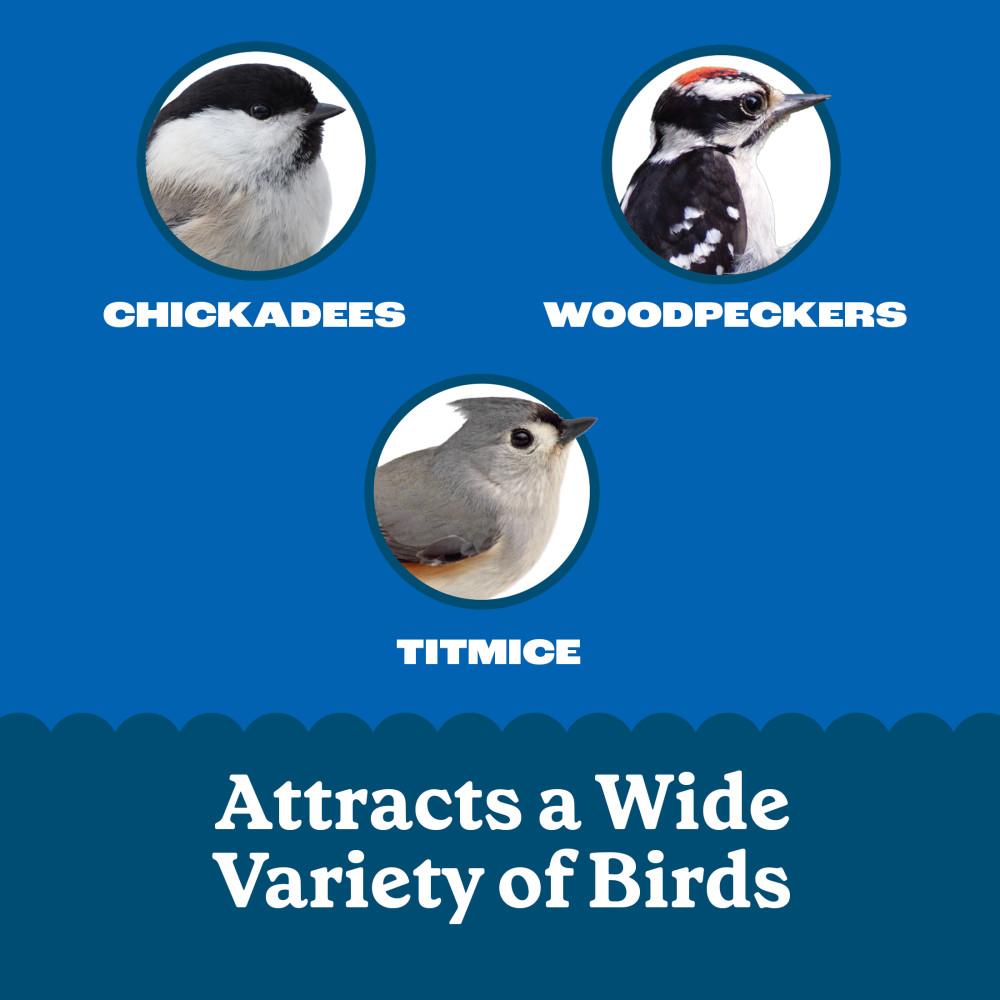 100551959-pennington-feeding-frenzy-nugget-wire-feeder--11-inch-x-3-inch-x-3-inch-5