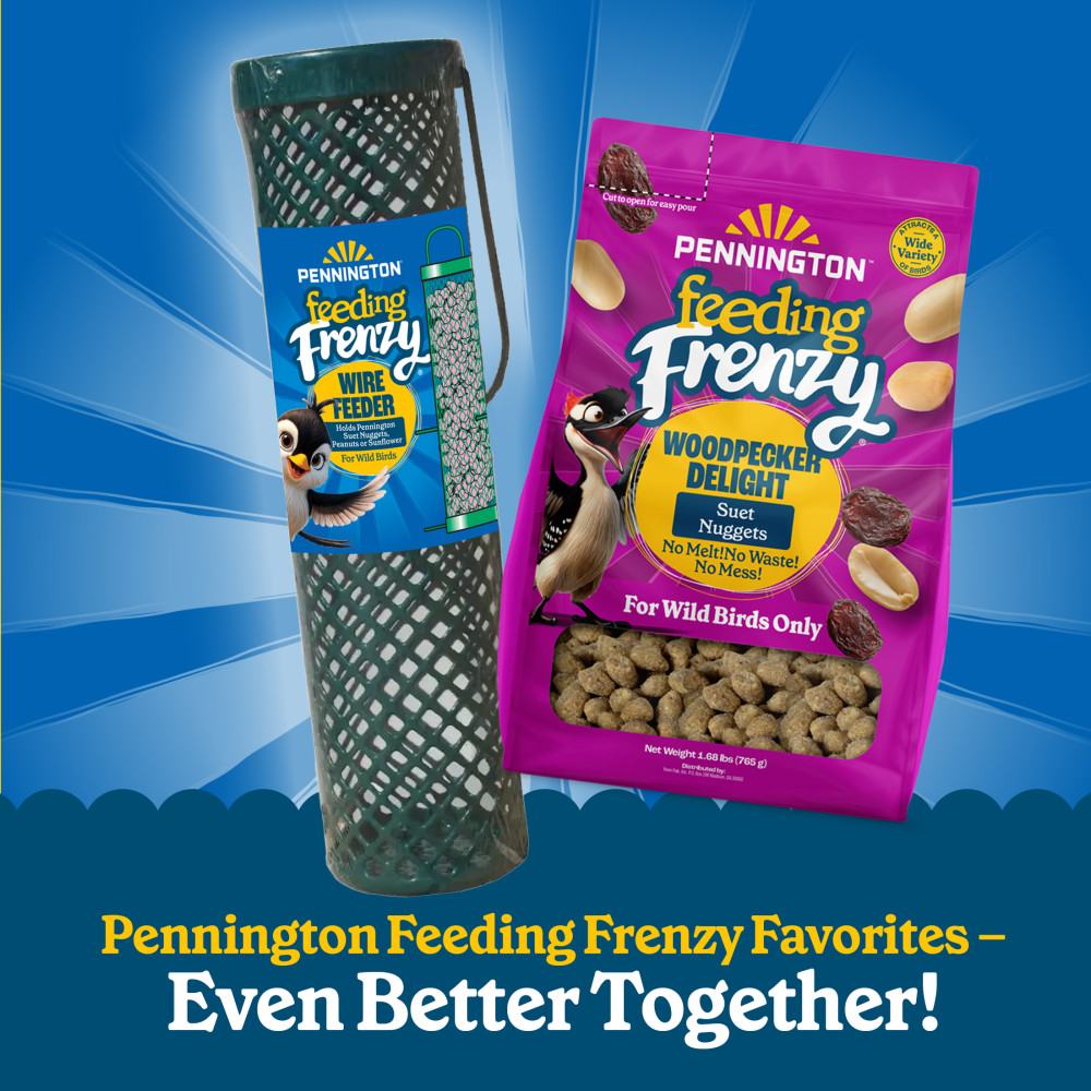 100551959-pennington-feeding-frenzy-nugget-wire-feeder--11-inch-x-3-inch-x-3-inch-9