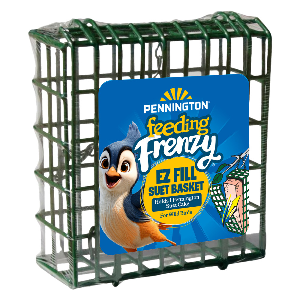 100551960-pennington-feeding-frenzy-ezfill-suet-green-730-basket--2-inch-x-525-inch-x-525-inch-1