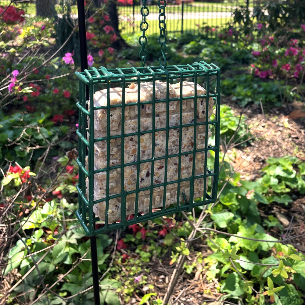 100551960-pennington-feeding-frenzy-ezfill-suet-green-730-basket--2-inch-x-525-inch-x-525-inch-6