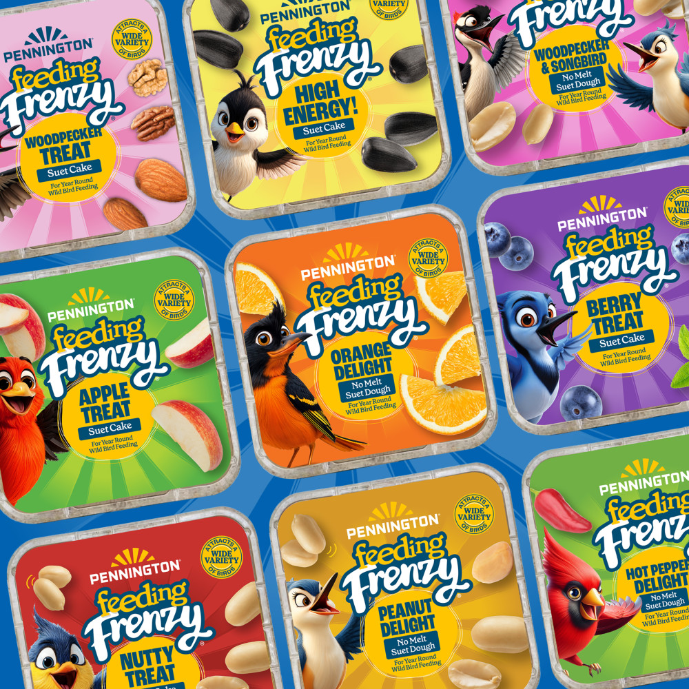 100551960-pennington-feeding-frenzy-ezfill-suet-green-730-basket--2-inch-x-525-inch-x-525-inch-7