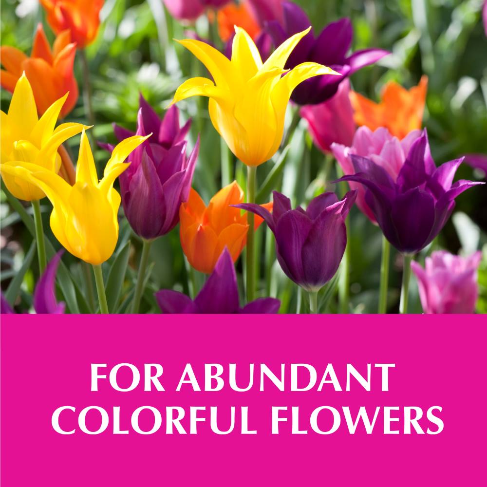 Alaska Morbloom Fertilizer