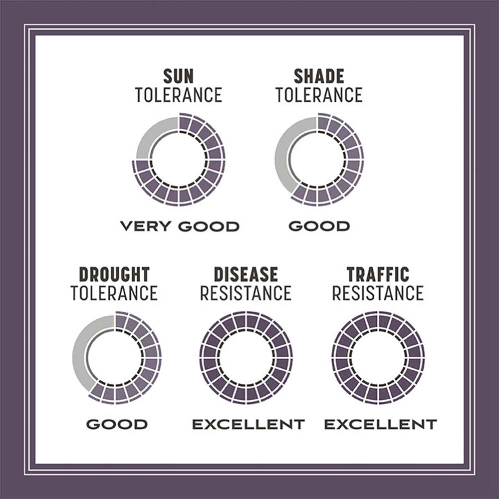 annual-ryegrass-tolerance