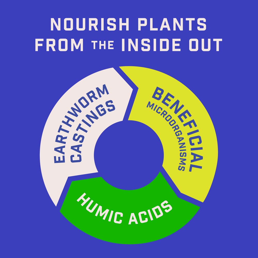 DG367-PE-Rejuvenate-Plant-Food-All-Purpose-4-4-4-Alt-Images-06