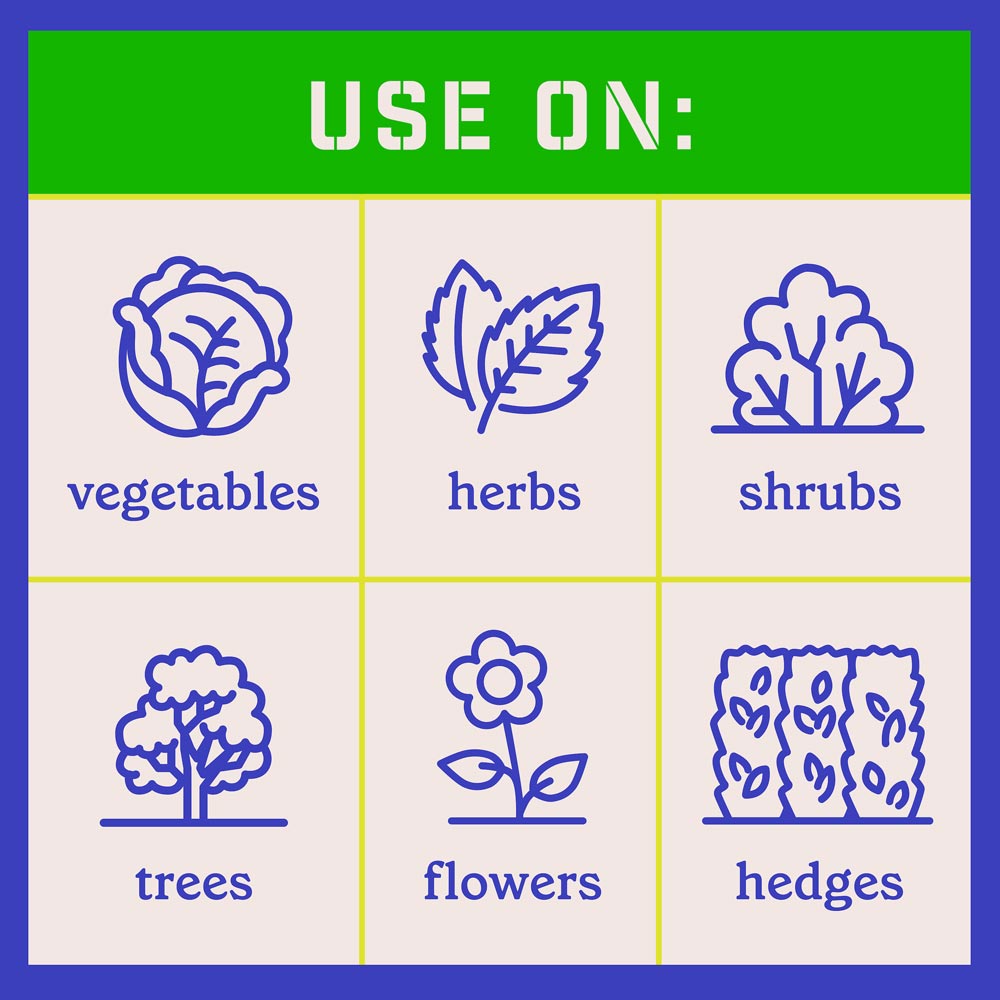 DG367-PE-Rejuvenate-Plant-Food-All-Purpose-4-4-4-Alt-Images-07