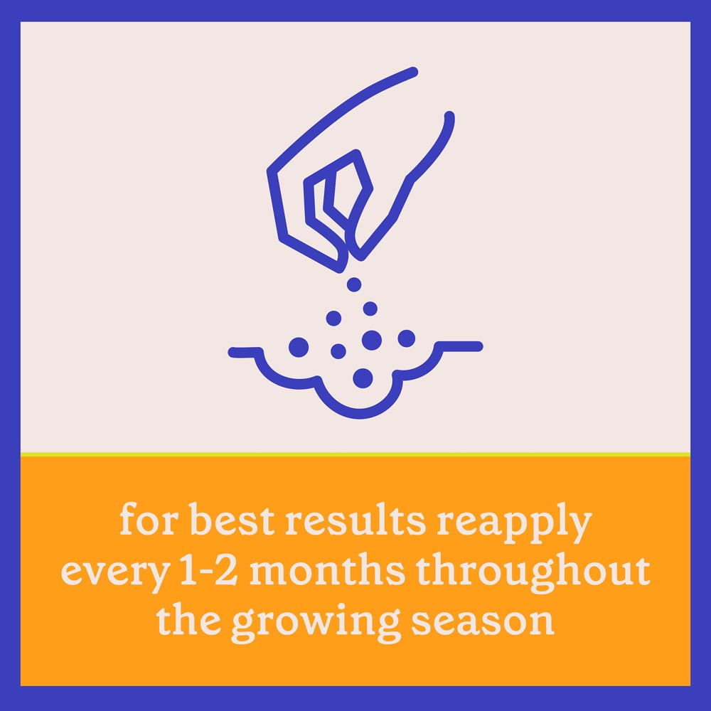 DG368-PE-Rejuvenate-Plant-Food-Citrus-Avocado-5-3-4-Alt-Images-11