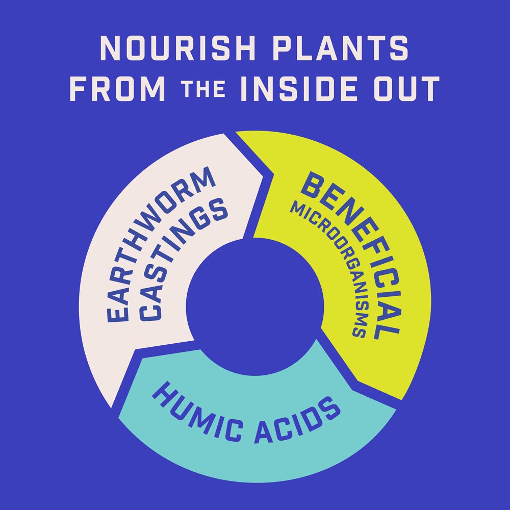 DG369-PE-Rejuvenate-Plant-Food-Evergreen-Azalea-4-3-3-Alt-Images-06