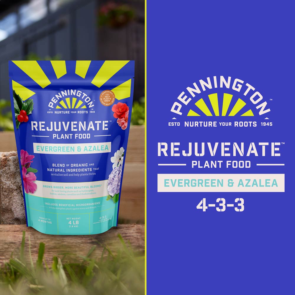 DG369-PE-Rejuvenate-Plant-Food-Evergreen-Azalea-4-3-3-Alt-Images-13