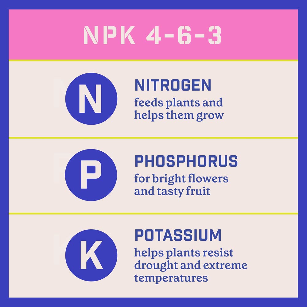 DG370-PE-Rejuvenate-Plant-Food-Rose-Flower-4-6-3-Alt-Images-10