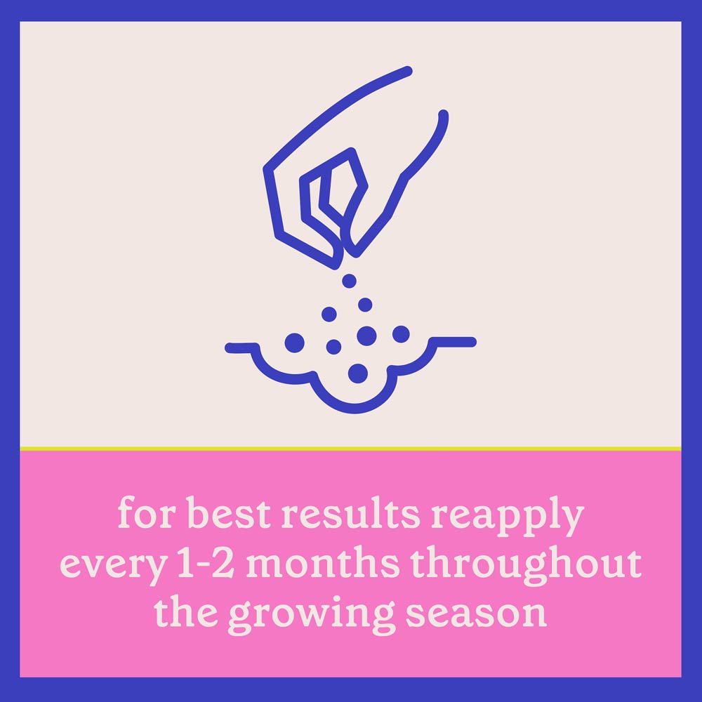 DG370-PE-Rejuvenate-Plant-Food-Rose-Flower-4-6-3-Alt-Images-11