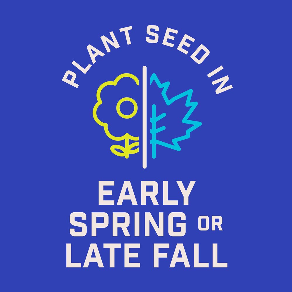 DG382-PE-Wildflower-Texas-Garden-Mix-Alt-Images-06