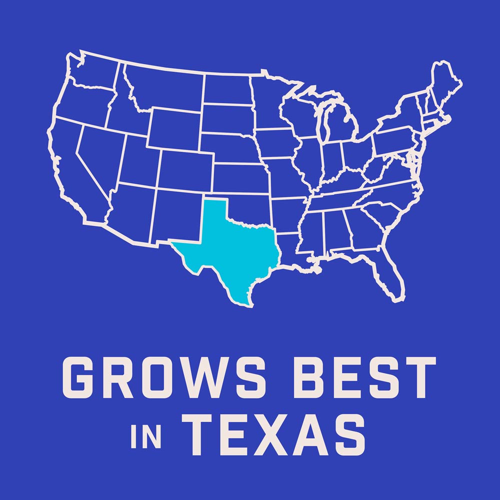 DG382-PE-Wildflower-Texas-Garden-Mix-Alt-Images-07