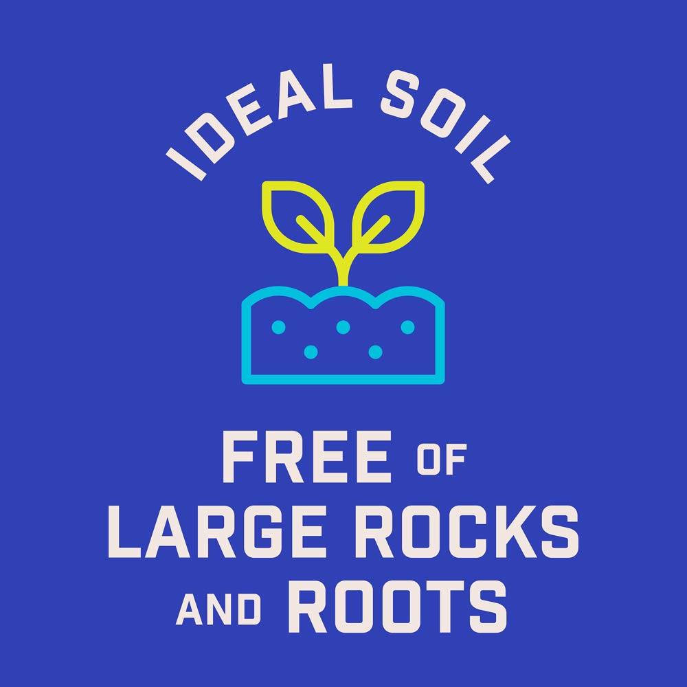 DG382-PE-Wildflower-Texas-Garden-Mix-Alt-Images-10