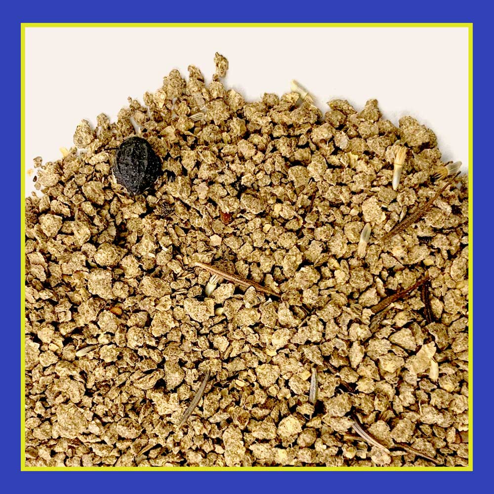 DG383-PE-Wildflower-Midwest-Garden-Mix-Alt-Images-03