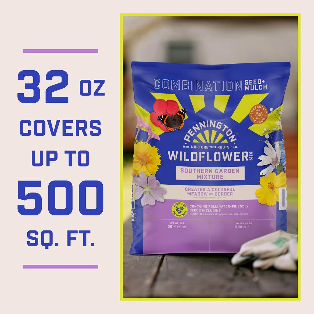 DG386-PE-Wildflower-Southern-Garden-Mix-Alt-Images-11