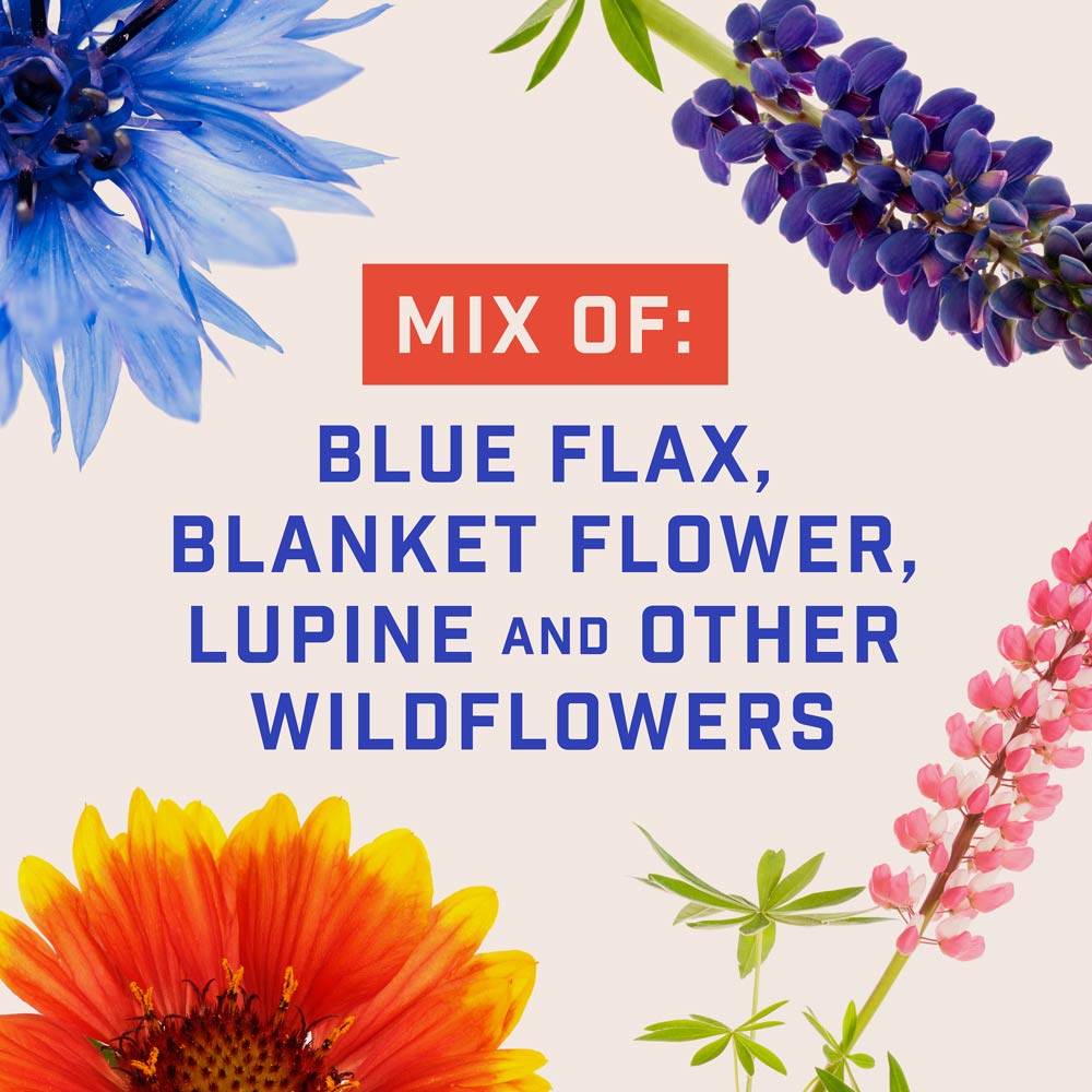 DG387-PE-Wildflower-Western-Garden-Mix-Alt-Images-05