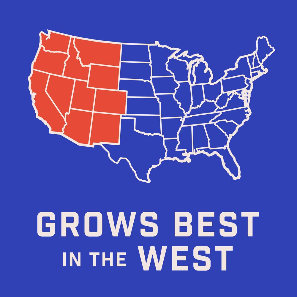 DG387-PE-Wildflower-Western-Garden-Mix-Alt-Images-07