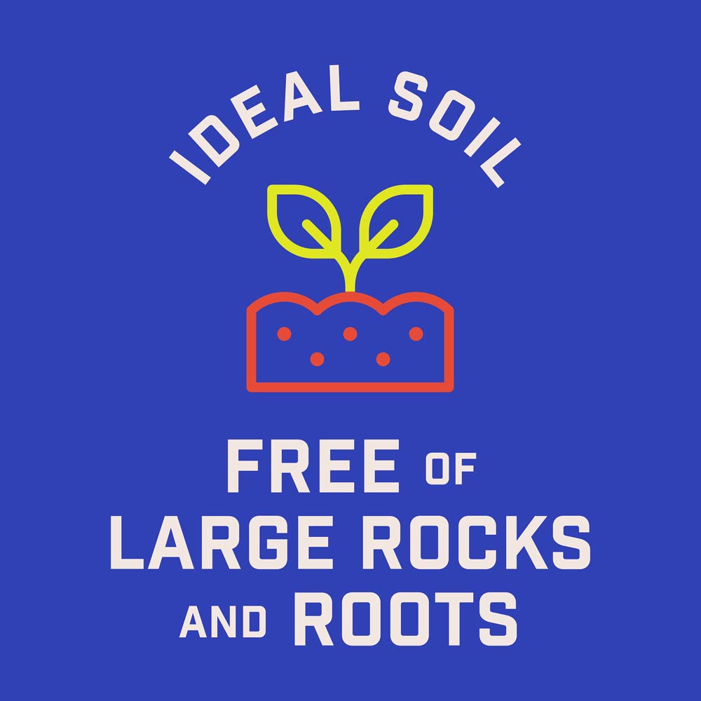 DG387-PE-Wildflower-Western-Garden-Mix-Alt-Images-10