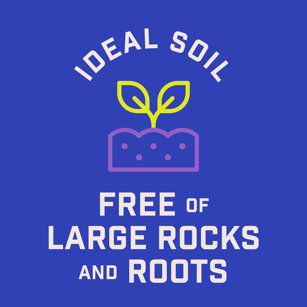 DG399-PE-Wildflower-Garden-Mix-Alt-Images-10