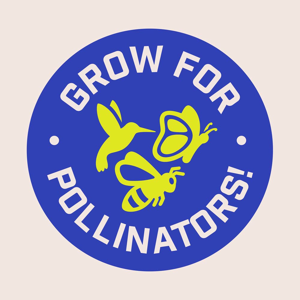 DG399-PE-Wildflower-Garden-Mix-Alt-Images-12