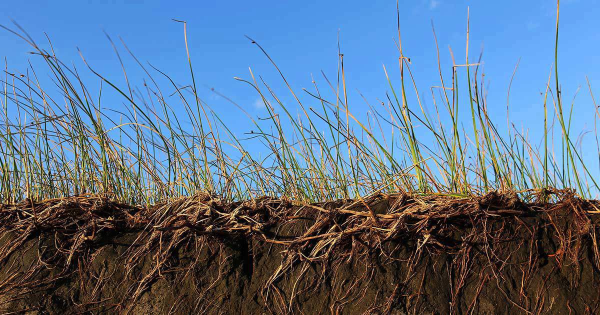 Erosion Control: How to Keep Your Seed and Soil
