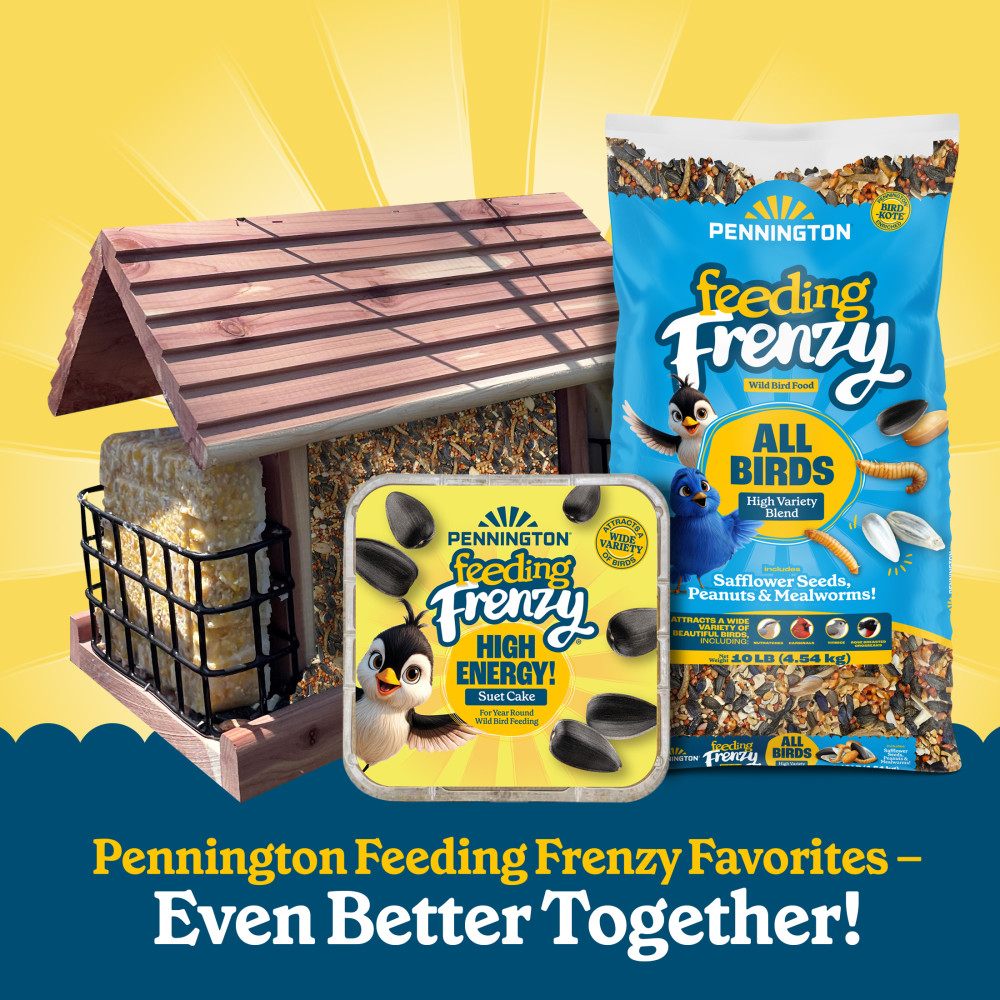 100552127-pennington-feeding-frenzy-all-birds-high-variety-blend-wild-bird-food-5-pounds-11