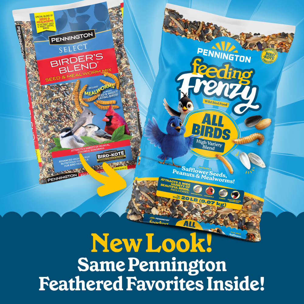 100552127-pennington-feeding-frenzy-all-birds-high-variety-blend-wild-bird-food-5-pounds-4