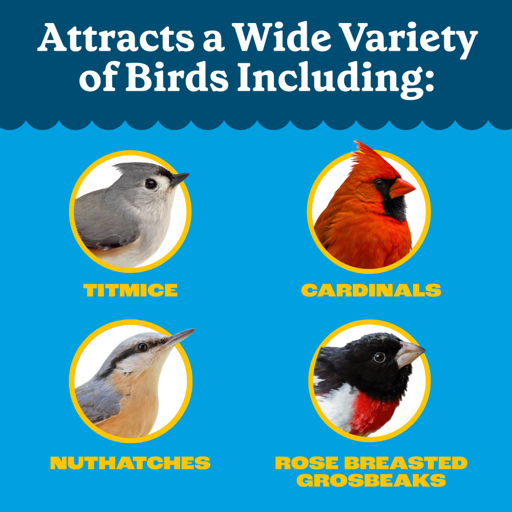 100552127-pennington-feeding-frenzy-all-birds-high-variety-blend-wild-bird-food-5-pounds-8