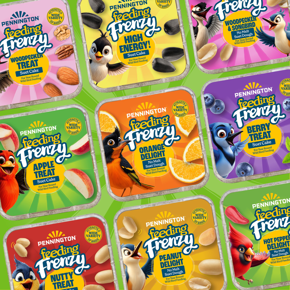 Pennington Feeding Frenzy Apple Treat Suet Cake 11.75 oz