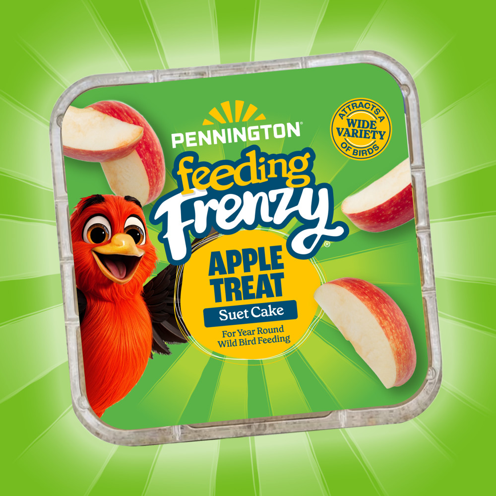 Pennington Feeding Frenzy Apple Treat Suet Cake 11.75 oz