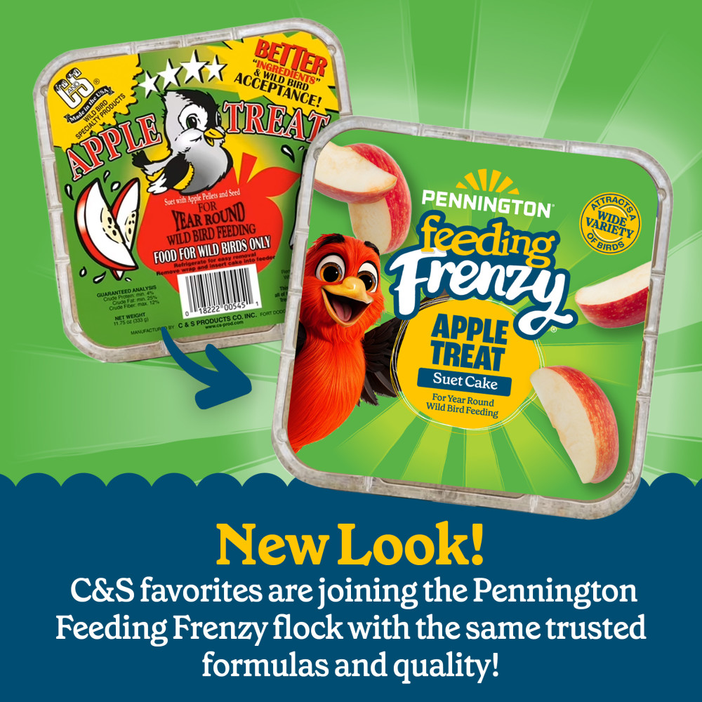 Pennington Feeding Frenzy Apple Treat Suet Cake 11.75 oz
