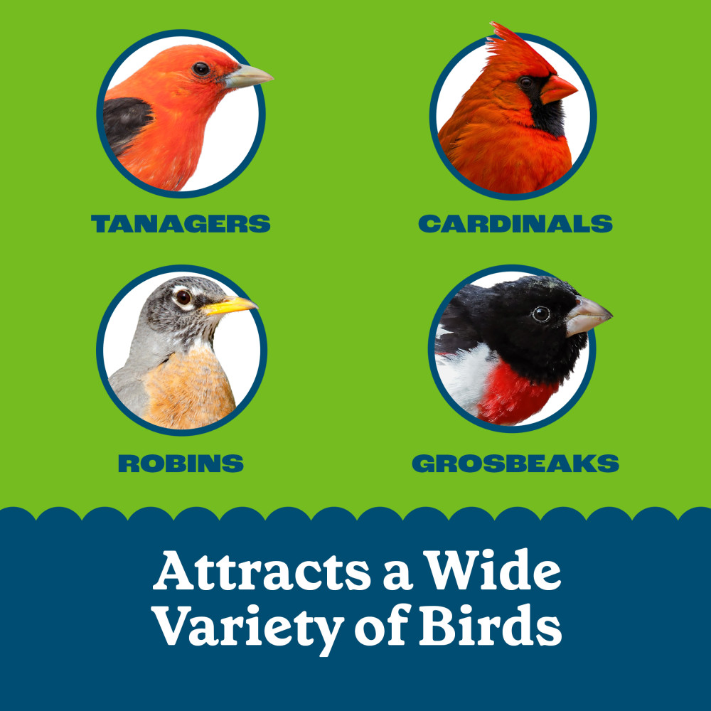 Pennington Feeding Frenzy Apple Treat Suet Cake 11.75 oz