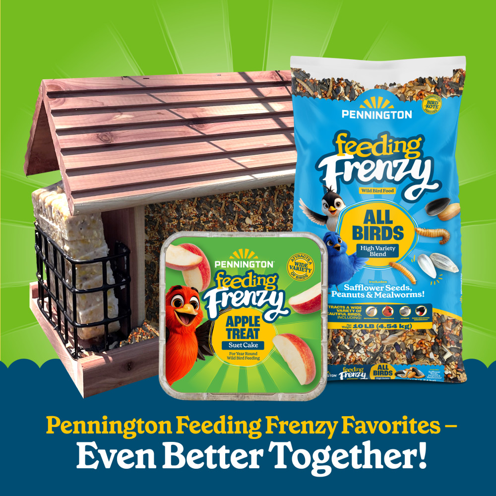 Pennington Feeding Frenzy Apple Treat Suet Cake 11.75 oz