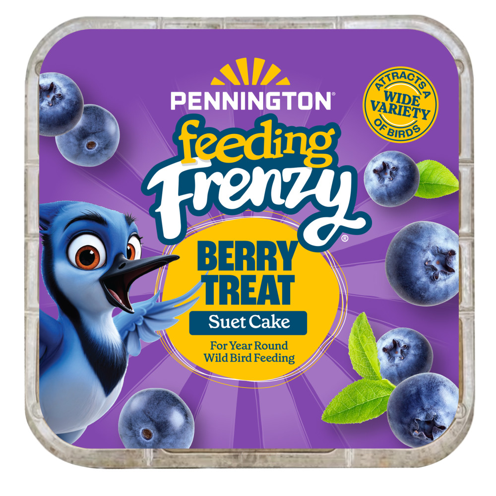feeding-frenzy-berry-treat-suet-cake-11-75-oz-alt-1