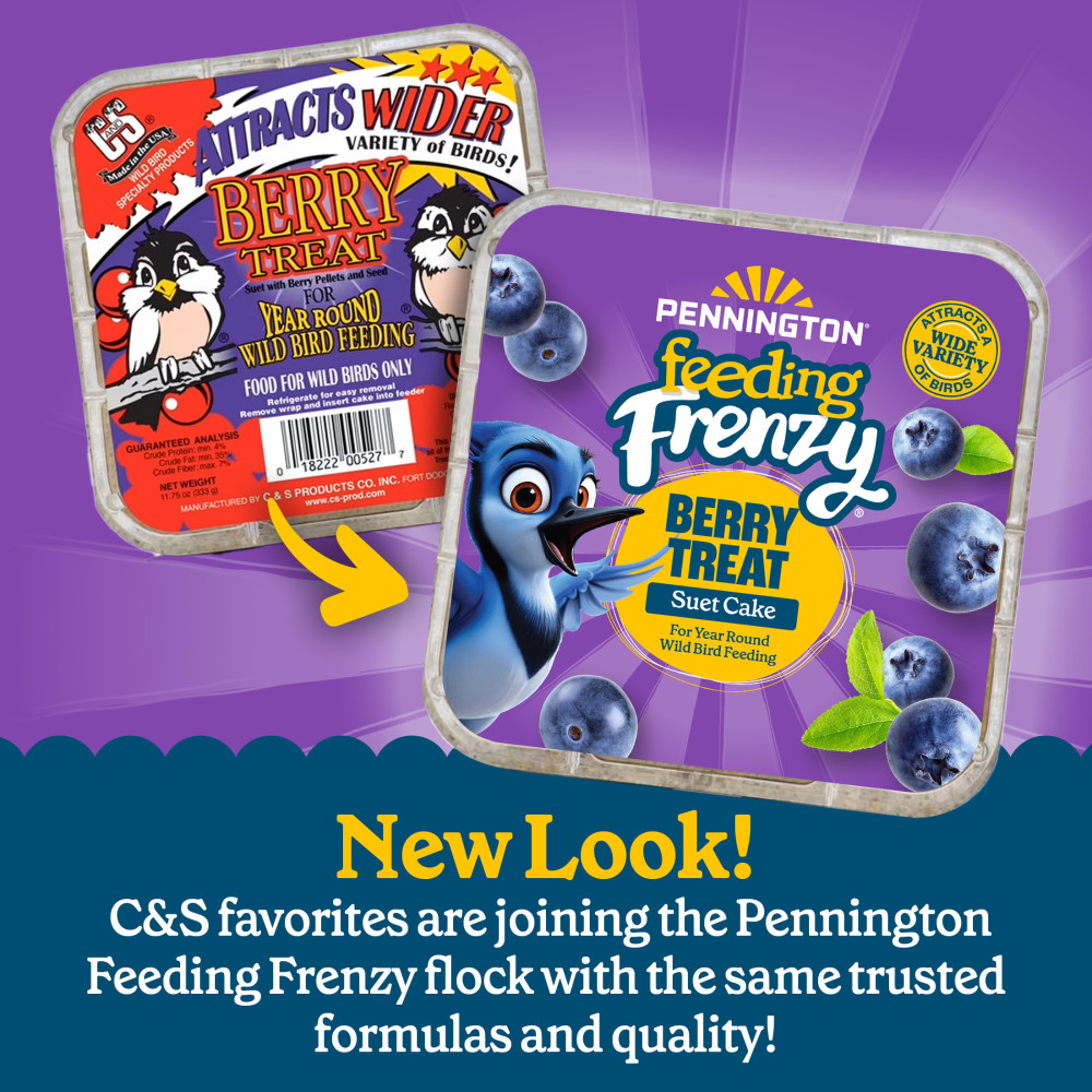 Pennington Feeding Frenzy Berry Treat Suet Cake 11.75 oz