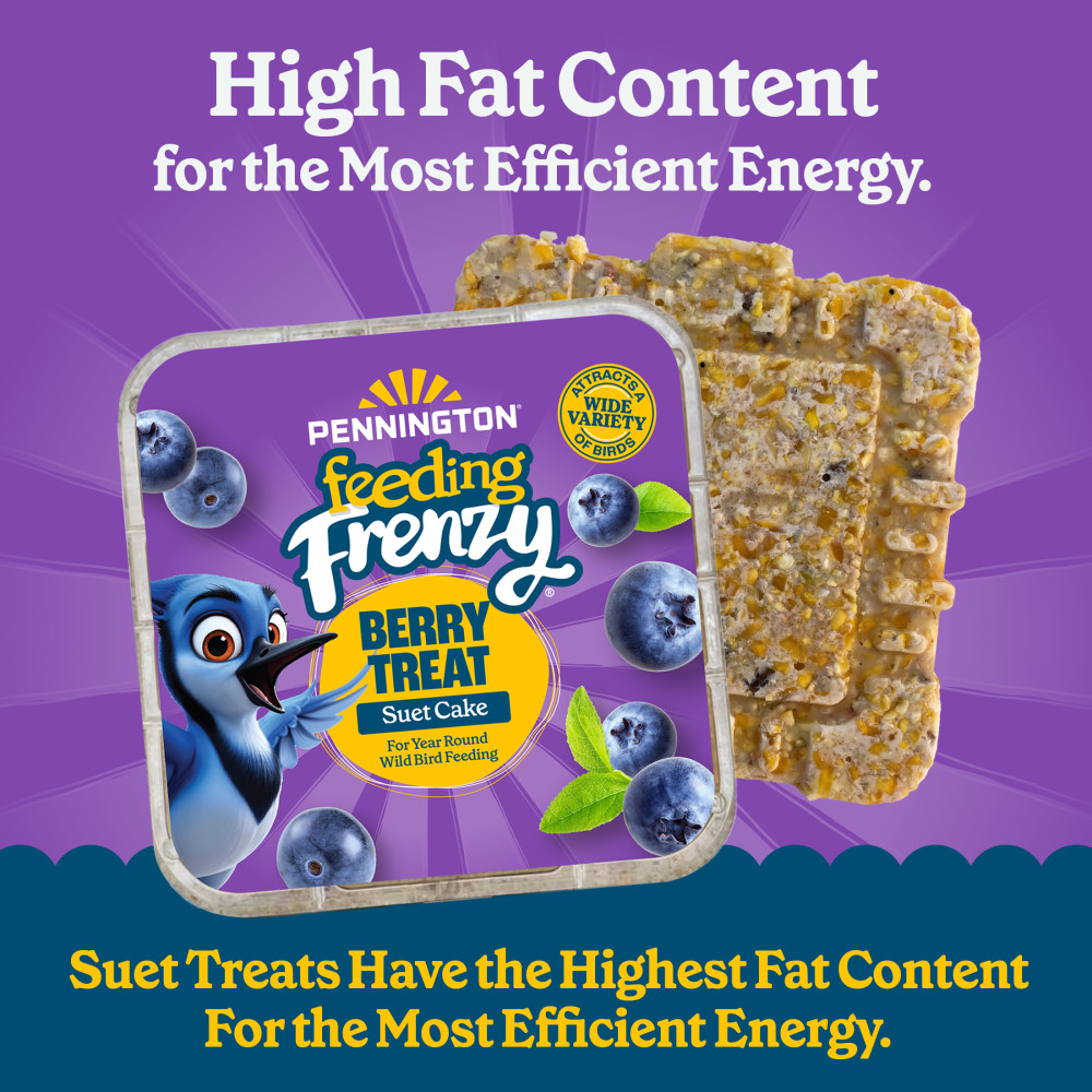 Pennington Feeding Frenzy Berry Treat Suet Cake 11.75 oz