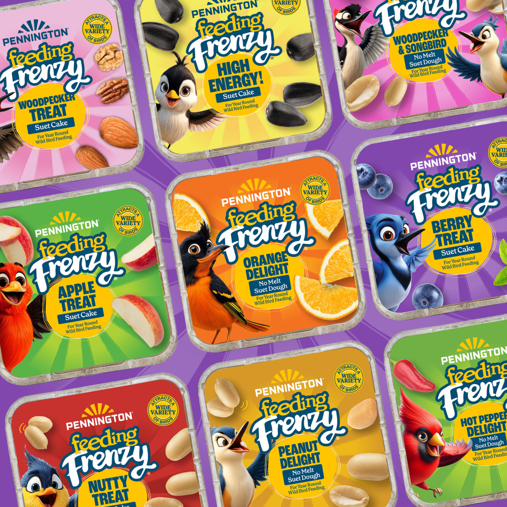 Pennington Feeding Frenzy Berry Treat Suet Cake 11.75 oz