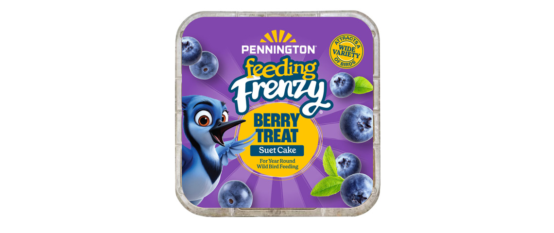 Pennington Feeding Frenzy Berry Treat Suet Cake 11.75 oz