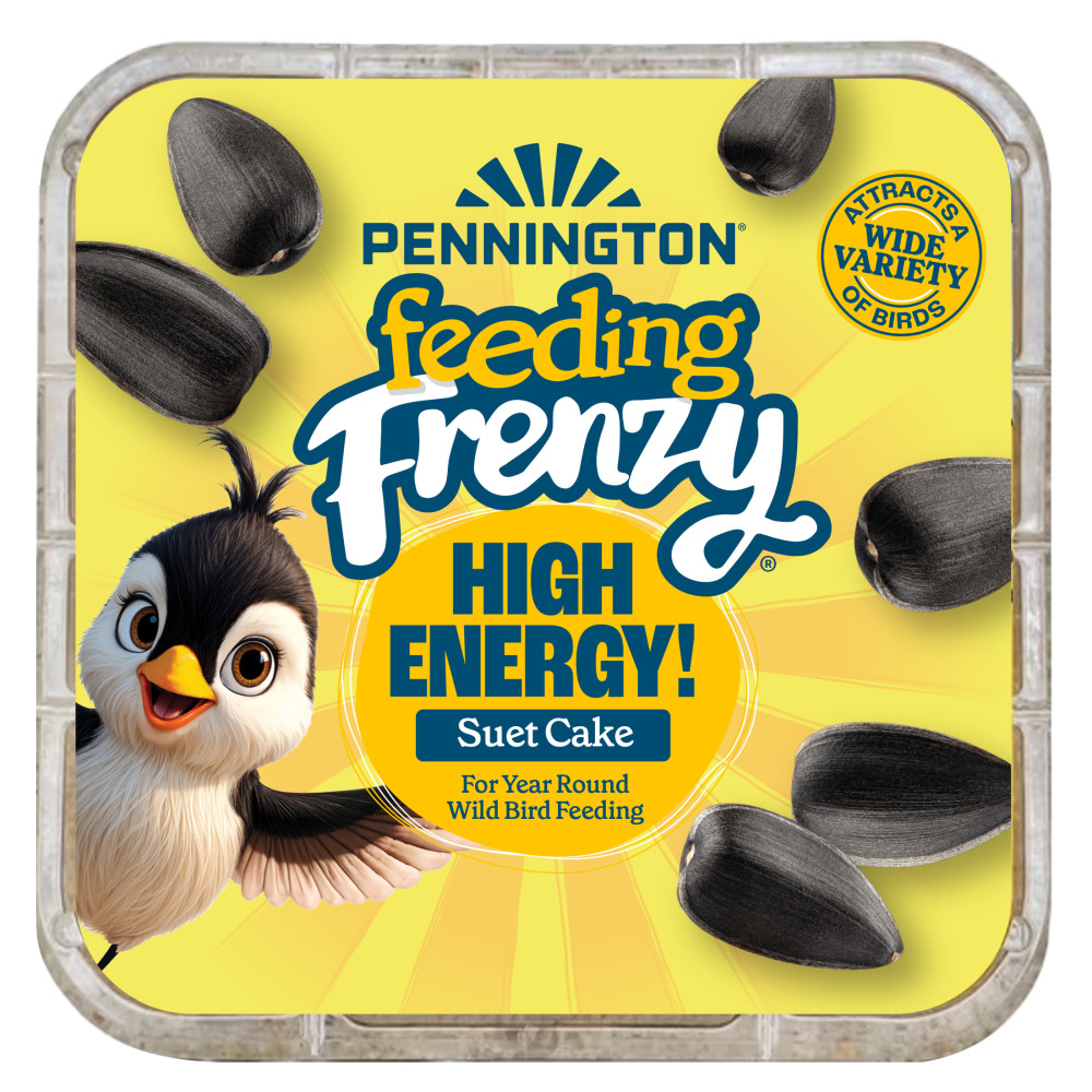 Pennington Feeding Frenzy High Energy Suet Cake 11.75 oz