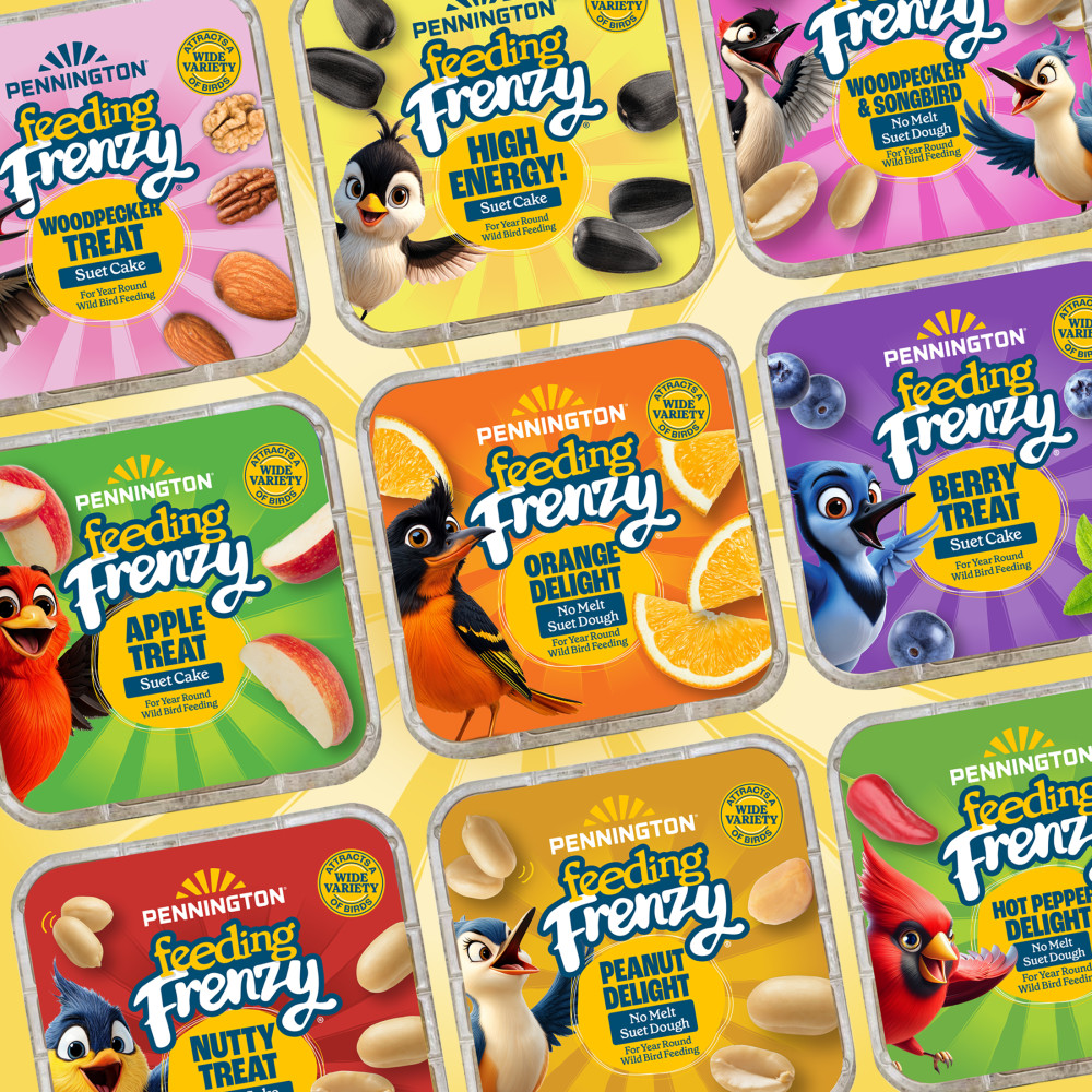 Pennington Feeding Frenzy High Energy Suet Cake 11.75 oz