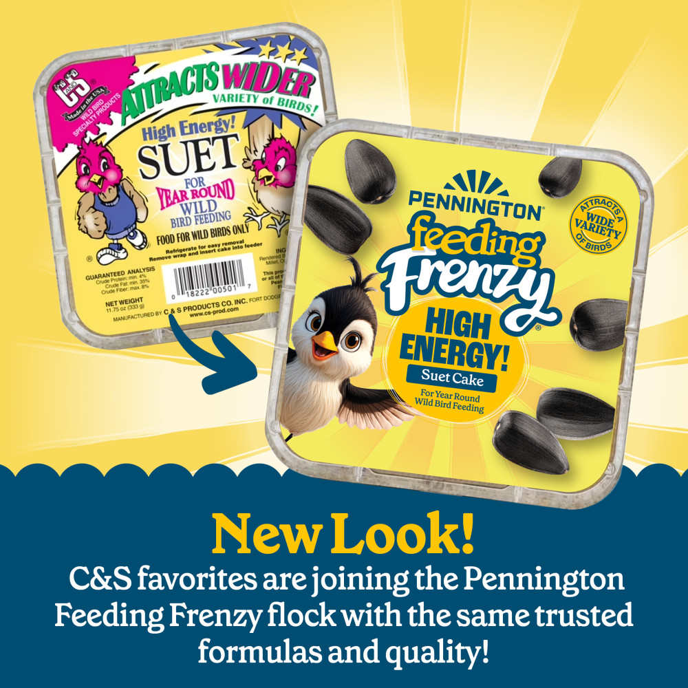 Pennington Feeding Frenzy High Energy Suet Cake 11.75 oz