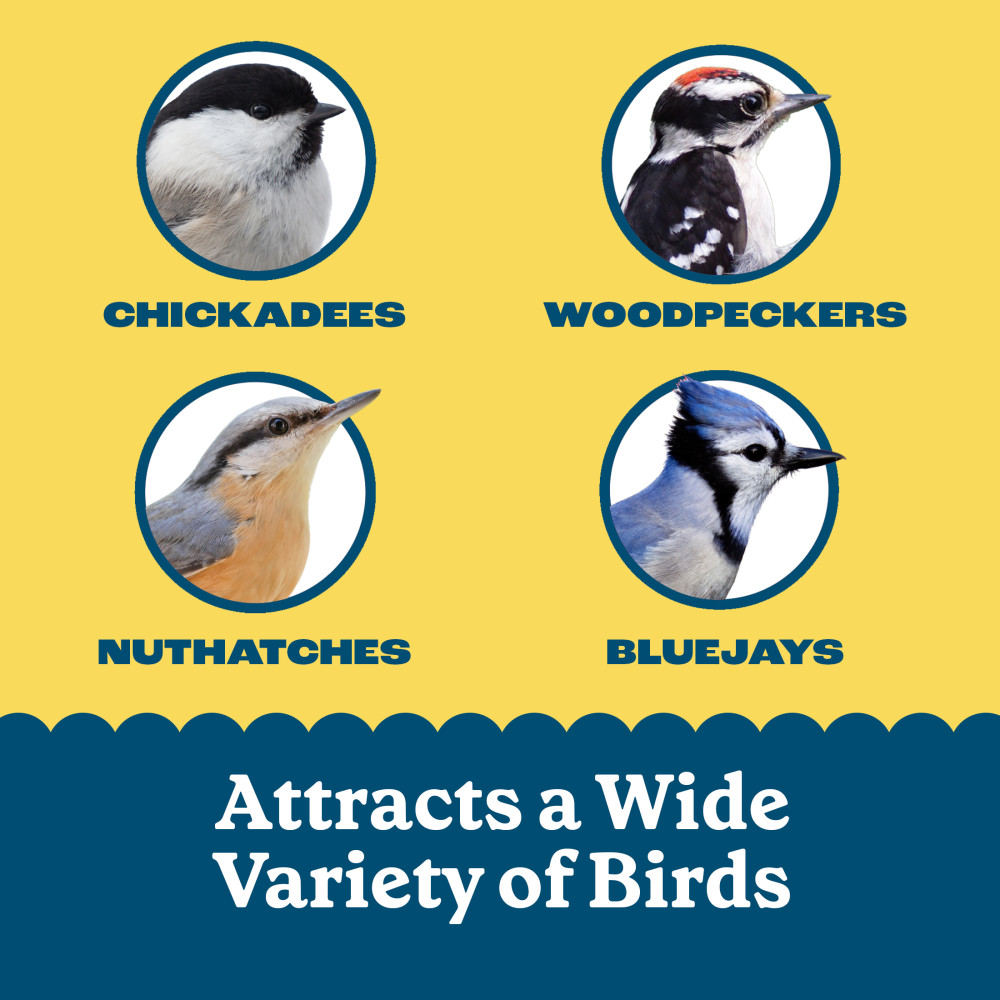 Pennington Feeding Frenzy High Energy Suet Cake 11.75 oz